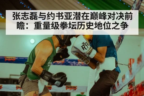 Zhang Zhilei boxing